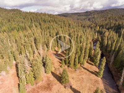 aerial photo of a meadow and creek in the Idaho hills