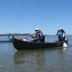 Canoe Paddle—June 2010