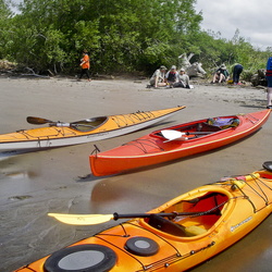 Canoe Paddle—July 2008